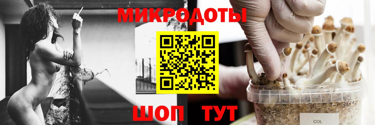 наркошоп  Вход с VPN  Муравленко  Псилоцибиновые грибы ЛСД  Галлюциногенные грибы Psilocybe 